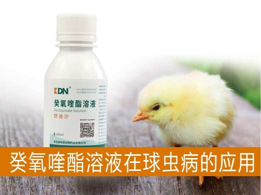 癸氧喹酯溶液在動物球蟲病防治上的應用