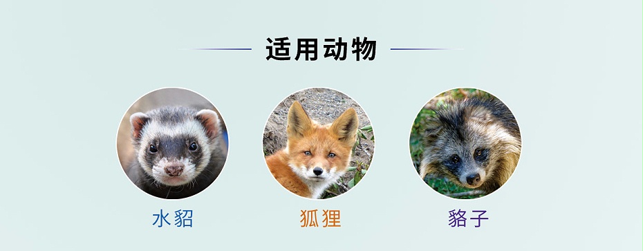 毛皮動物的血蟲病鹽酸多西環(huán)素可溶性粉青島康地恩專賣 毛皮動物的血蟲病鹽酸多西環(huán)素可溶性粉青島康地恩專賣