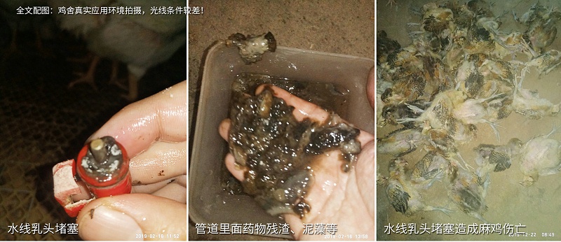 規模化雞場水質管理