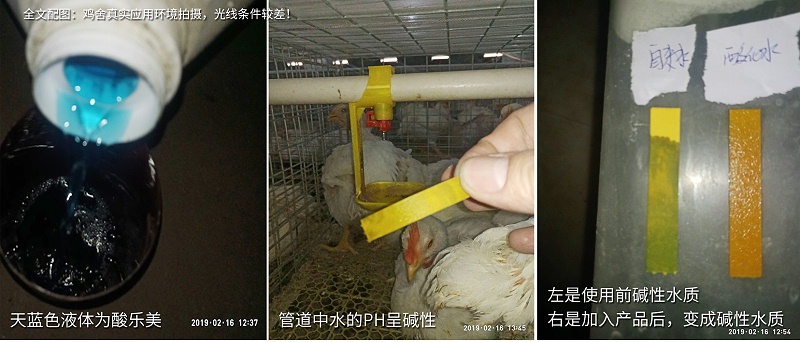 規模化雞場水質管理