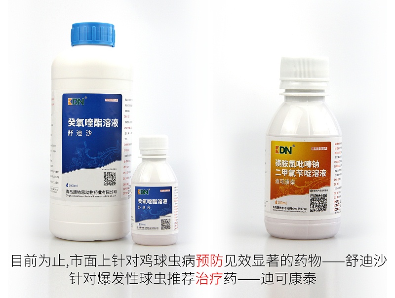 雞球蟲病預防推薦用藥——舒迪沙。爆發性球蟲治療藥——迪可康泰。