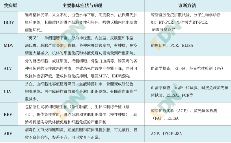 青島康地恩-各種病毒的臨床表現及診斷方法