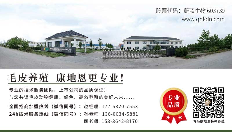 貂狐貉兔用藥廠家直銷批發加盟-青島康地恩