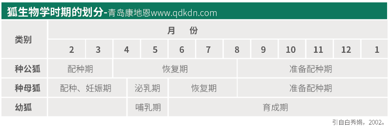 狐貍生物學時期怎么劃分？【康地恩毛皮養殖】
