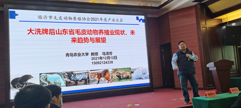 山東畜牧協會特養分會會長 青島農業大學 馬澤芳教授